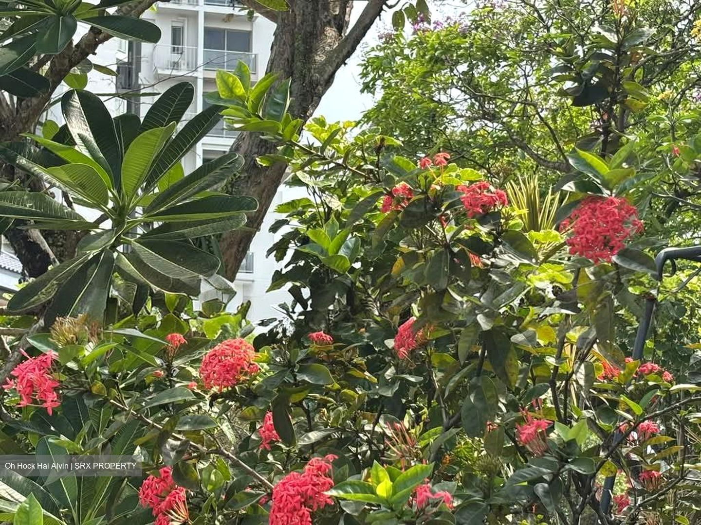 Sembawang Hills Estate (D20), Semi-Detached #593987481